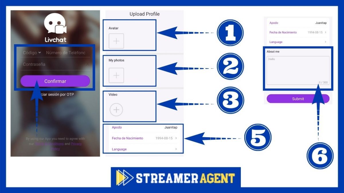Dashboard oficial livchat para agencias - StreamerAgent